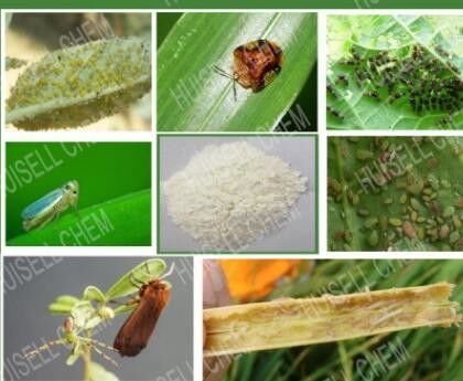 Зерна инсектицидов пестицида Thiamethoxam РАБОЧЕЙ ГРУППЫ CAS 153719-23-4 Thiamethoxam 3%